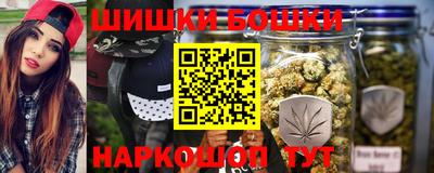 гидра Славгород