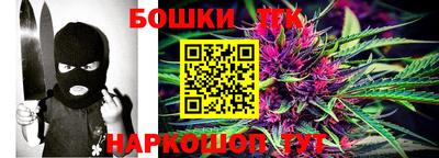 гидра Славгород